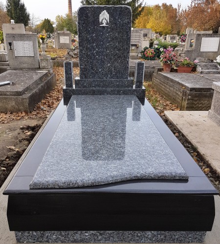 black_labrador_100.jpg